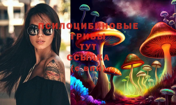стафф Белокуриха