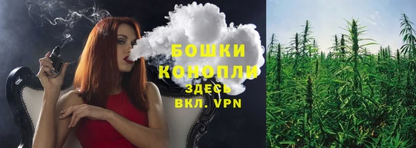 стафф Белокуриха